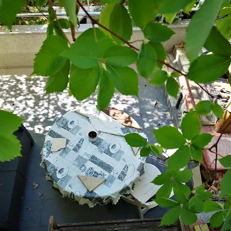 Apartment Ella Split