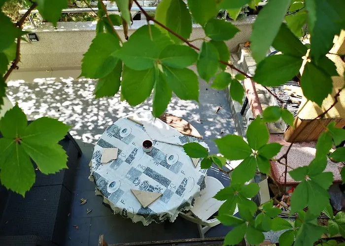 아파트 아파트먼트 엘라 스플리트