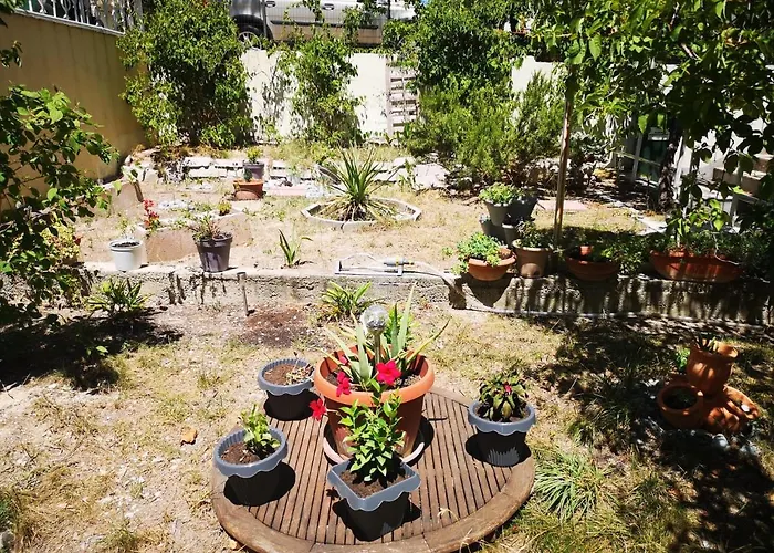 아파트 아파트먼트 엘라 스플리트